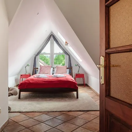 Rent Like - Skibowki *